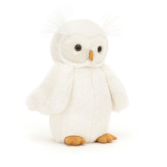 If I Were An Owl Board Book And Bashful Owl Medium
