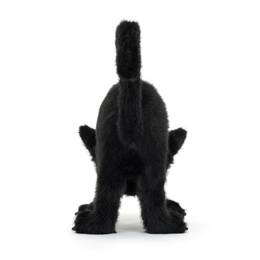Spookipaws Cat