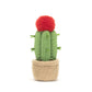 Amuseables Moon Cactus