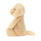 Bashful Luxe Puppy Orlando