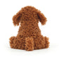 Cooper Doodle Dog