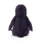 Hocus Crow