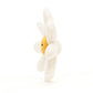 Fleury Daisy
