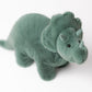 Fossilly Triceratops