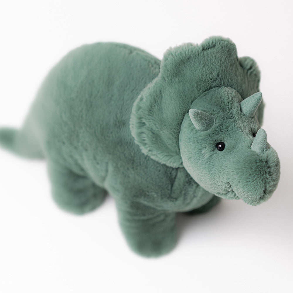 Fossilly Triceratops