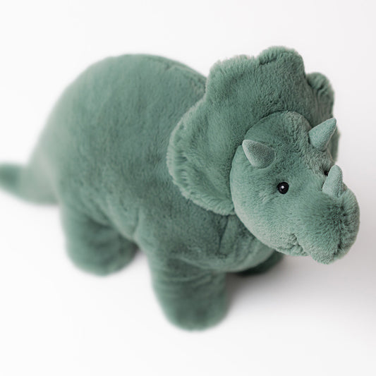 Fossilly Triceratops