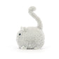 Kitten Caboodle
