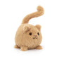 Kitten Caboodle