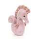 If I Were A Seahorse Book And Sienna Seahorse Medium