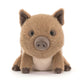 Swinley Boar