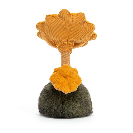 Wild Nature Chanterelle Mushroom